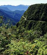 Image result for yungas cloud forest