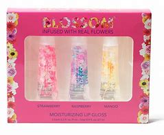 Image result for Lip Gloss Gift Sets