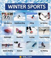 Image result for Winter Sport