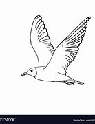 Image result for Seagull Vector Design