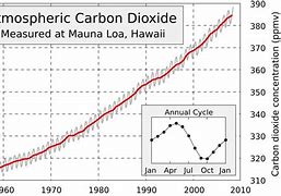 Image result for Mauna Loa Curve