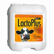 Image result for Lacto Plus Chicken