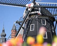 Image result for HUS Ten Bosch