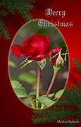 Image result for Red Roses Merry Christmas