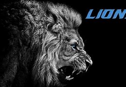 Image result for Detroit Lions Wallpaper HD