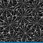 Image result for Spider Web Texture