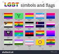 Image result for 13 LGBTQ Flags