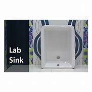 Image result for Biology Lab Sink