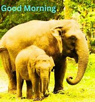 Image result for Clip Art Elephant Good Morning