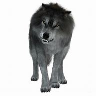 Image result for Dire Wolf Art