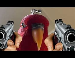 Image result for Bird Siniging Meme