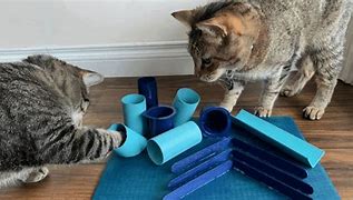 Image result for DIY Cat Toys Simple