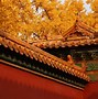 Image result for The Palace Museum Beijing Cartoon