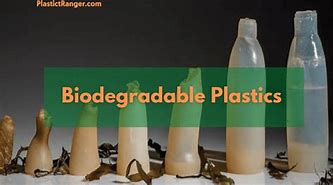 Image result for Euka Plant Plastic