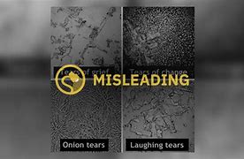 Image result for Grief Tears Under Microscope