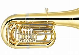 Image result for Tuba Ball