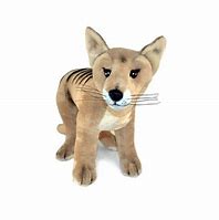 Image result for Thylacine Plush Toy