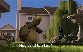 Image result for Turtle Man Meme