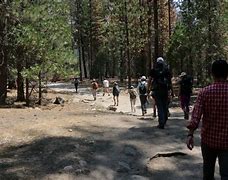 Image result for Sequoia and Kings Canyon Search and Rescue