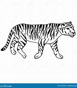 Image result for Tiger Doddle