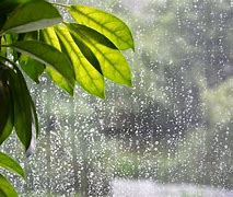 Image result for Raining Backdrop