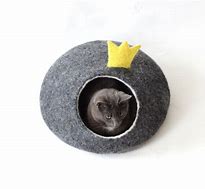 Image result for Cute Cat Crown Bed