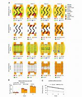 Image result for Bone Cells in Pores