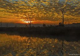 Image result for Rietvlei Nature Reserve South Africa