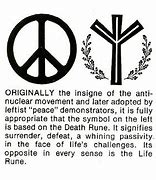 Image result for Rune of Life