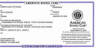 Image result for AKC DNA Certificate