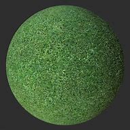 Image result for PBR Grass