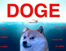 Image result for Funny Doge Meme Wallpaper