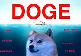 Image result for Doge Meme Desktop Wallpaper