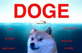 Image result for Doge Meme Wallpaper Good Quality