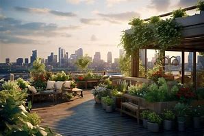 Image result for Roof Deck Garden Design Ideas