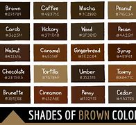 Image result for Rothys Dark Brown