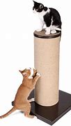 Image result for Cat Scratching Post Material