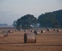 Image result for Hay Field