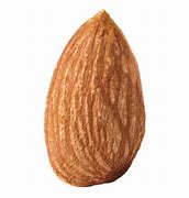 Image result for Almond Oil Image PNG