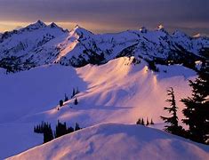 Image result for Winter Moelons