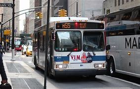 Image result for Brooklyn New York Bus