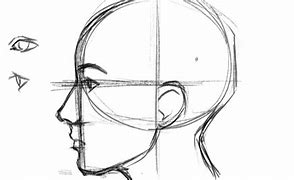 Image result for Lady Side Profile