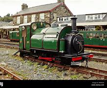 Image result for Ffestiniog Welsh Pony