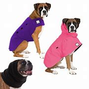 Image result for Boxer Dog Coats