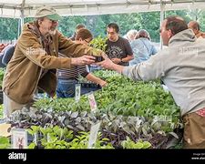 Image result for Selling Plants