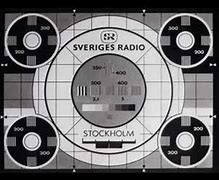 Image result for Sveriges Television