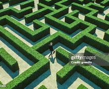 Image result for Maze From Above