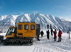 Image result for Cat Skiing