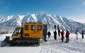 Image result for A Cat Go Skiing