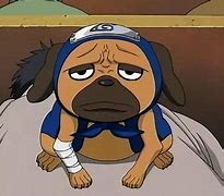 Image result for Dog Guy From Naruto